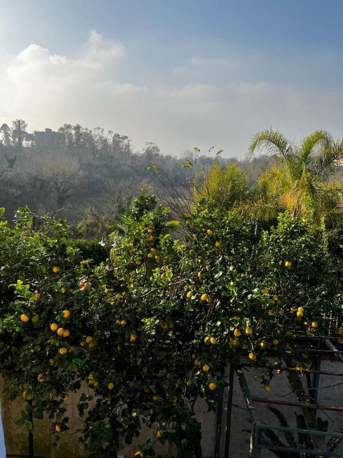 La Casa Del Bosco - Unique Two Floors House With Garden Villa เนเปิลส์ ภายนอก รูปภาพ